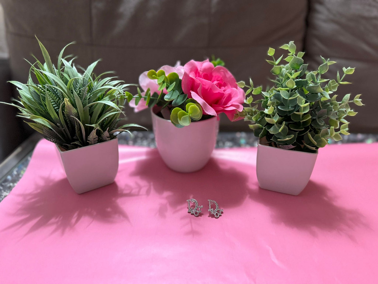 Silver dio shinny earrings